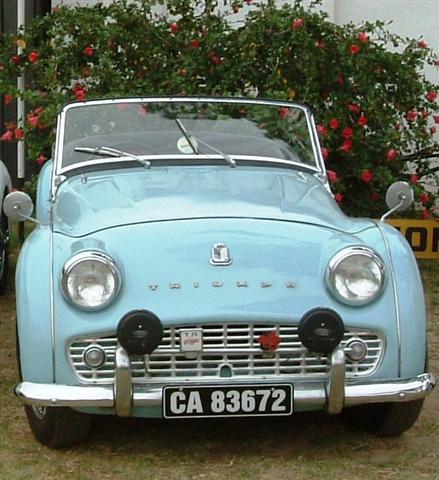 TR3A